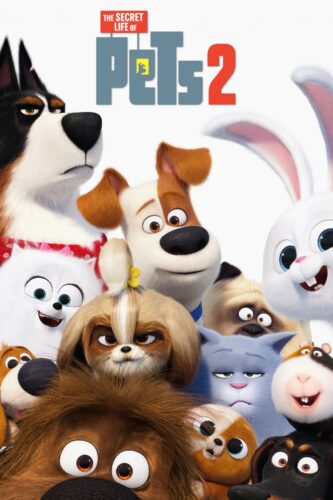 Pets 2